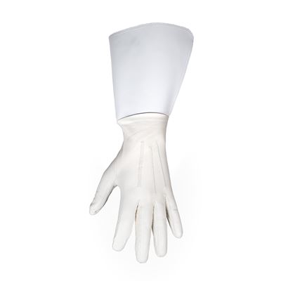 Gloves for white regulators