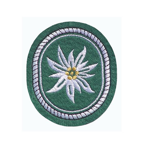 SK585 PATCH SKI DAUPHINE EDELWEISS SK585 PATCH SKI DAUPHINE EDELWEISS