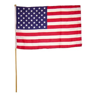 USA flag on the rod