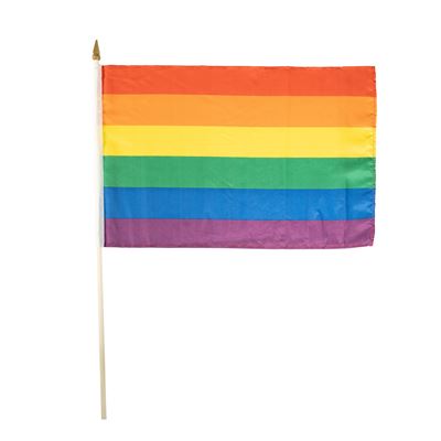 RAINBOW Flag LGBT 30 x 45 cm