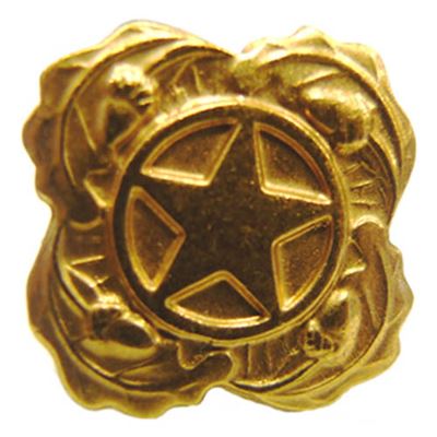 U.S. STAR badge