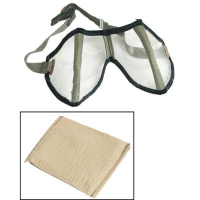 Folding WH Glasses with Case