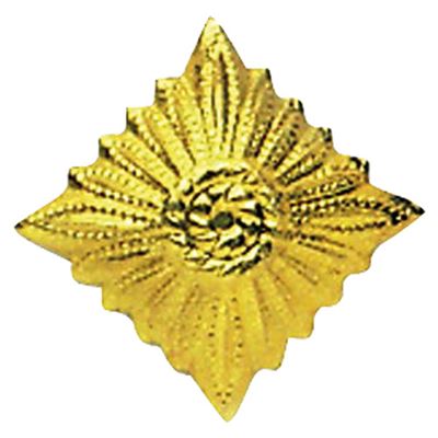 The rank badge NVA Star GOLD - GOLD