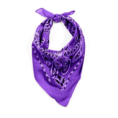 Scarf 55 x 55 cm TRAINMEN PURPLE
