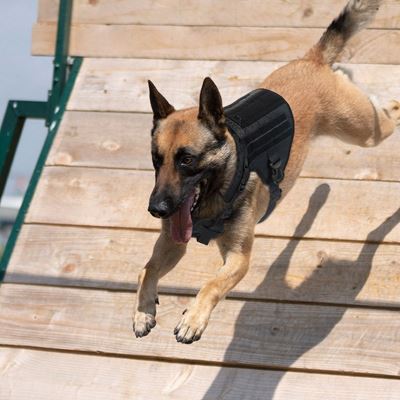 K9 tactical dog harness BLACK