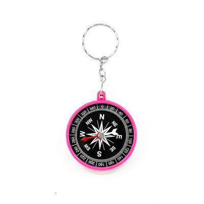 Compass Keyring PINK