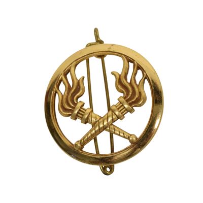 French badge SERVICE DES ESSENCES