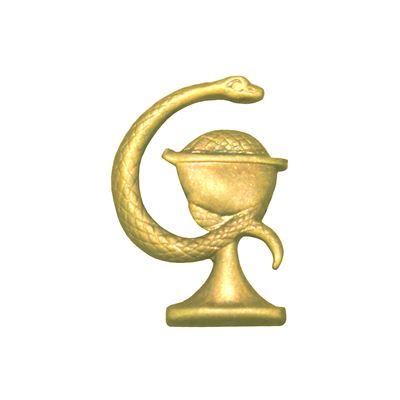 CSLA/AČR MEDIC badge