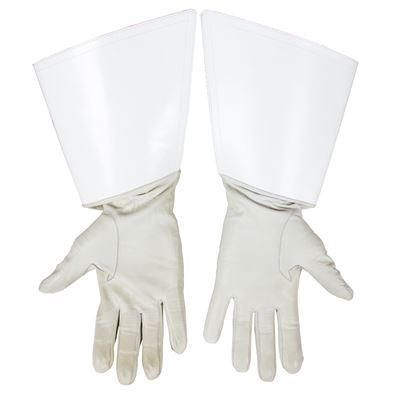 Gloves for white regulators used