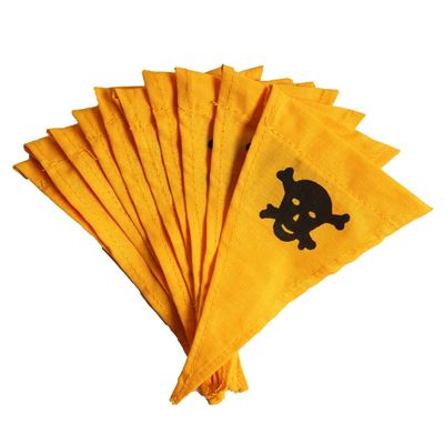 Flag with skull for contaminated or minefield labeling