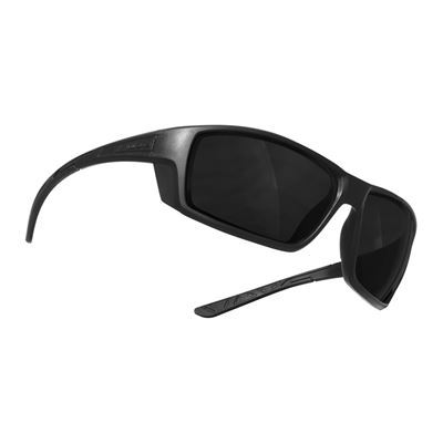 LoxRay Glasses BASIC Set BLACK/SMOKED