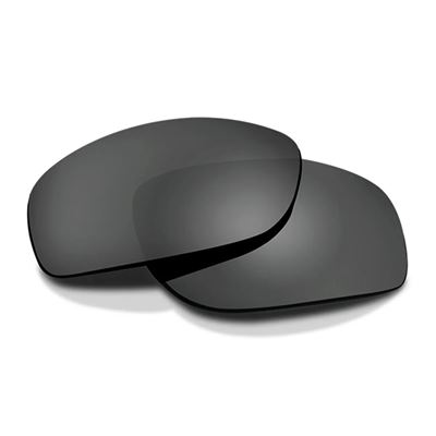 WX VALOR POLARISED GREY replacement shield
