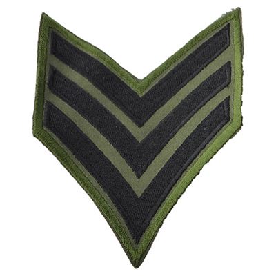 Patch U.S. rank Raider - OLIVE