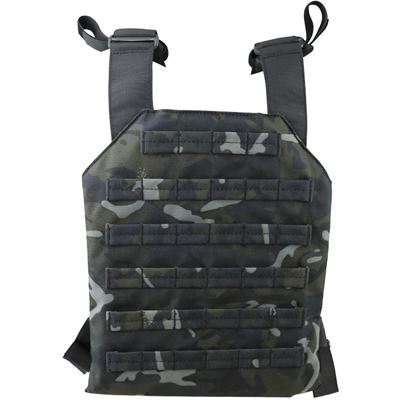 Spartan Plate Carrier BTP BLACK