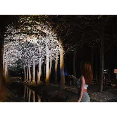Flashlight THUNDER 6in1 1000 lumens