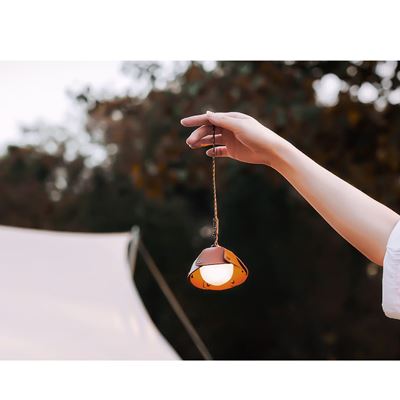 ACORN LIGHT rechargeable