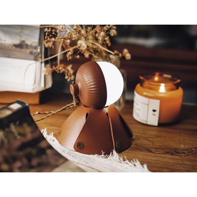 ACORN LIGHT rechargeable