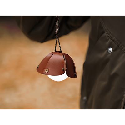 ACORN LIGHT rechargeable