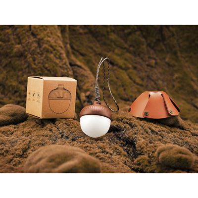 ACORN LIGHT rechargeable