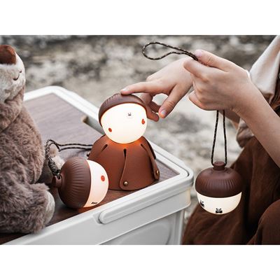 ACORN LIGHT rechargeable