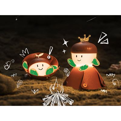 ACORN LIGHT rechargeable