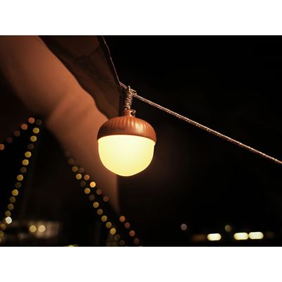 ACORN LIGHT rechargeable