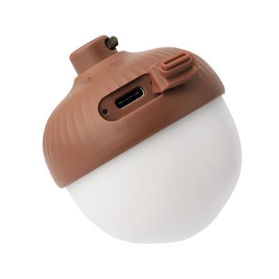 ACORN LIGHT rechargeable
