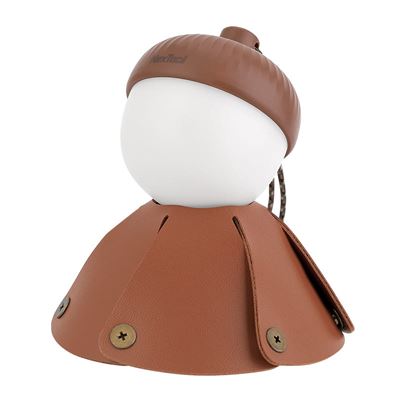 ACORN LIGHT rechargeable