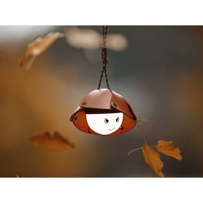 ACORN LIGHT rechargeable