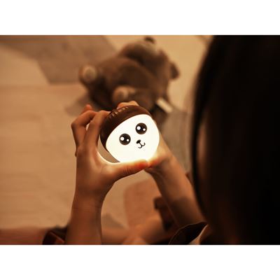ACORN LIGHT rechargeable