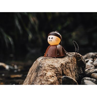 ACORN LIGHT rechargeable