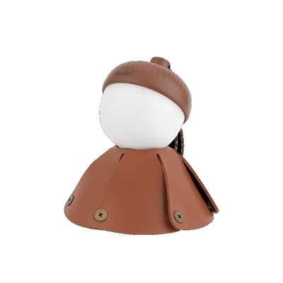 Case for ACORN LIGHT flashlight