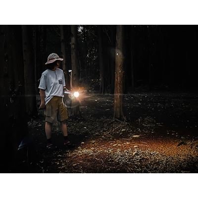 Multifunctional Camping Light WUKONG
