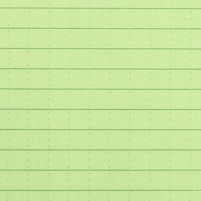 Maxi Side Spiral Notebook 8 1/2"x 11" 973 GREEN