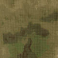 EVERGLADE