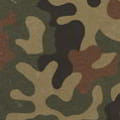 WZ.93 WOODLAND - Poland